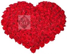 Big Heart of 200 Red Roses