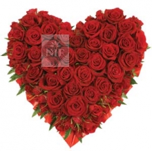 Heart of 50 Red Roses