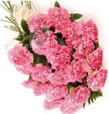 Bunch of Pink Carnations
