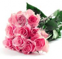 Beautiful Bunch of Pink Roses