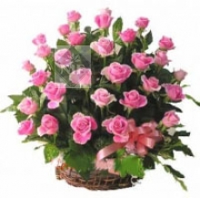 Lovely Charming Roses