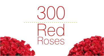 Send 1000 Red Roses