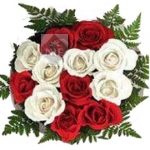 Mixed Red and White Rose