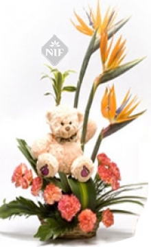 Exotic Flower and Teddy