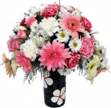 Pink and White Flowers in Vase