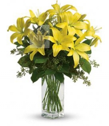 Yellow Lily in Vase