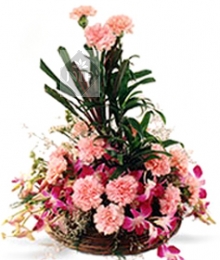 Arrangement of Carnations and Orchid