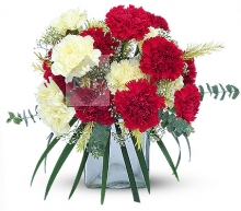 Mixed Carnations in Vase