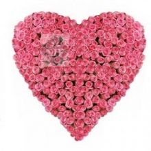 Heart of 200 Pink Roses