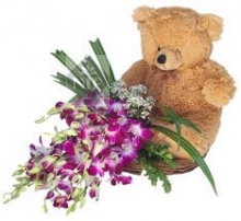 Teddy with Orchids