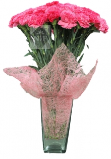 Lovely Pink Carnations in Vase