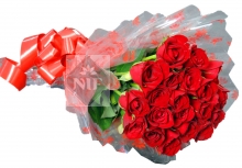 Elegant 20 Red Roses