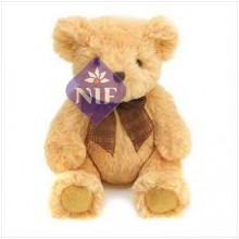 12 Inch Teddy