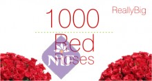 Send 1000 Red Roses